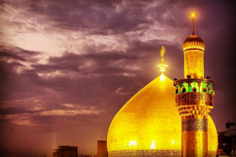 من مقاصدية وصية الإمام علي (عليه السلام) في أمواله....