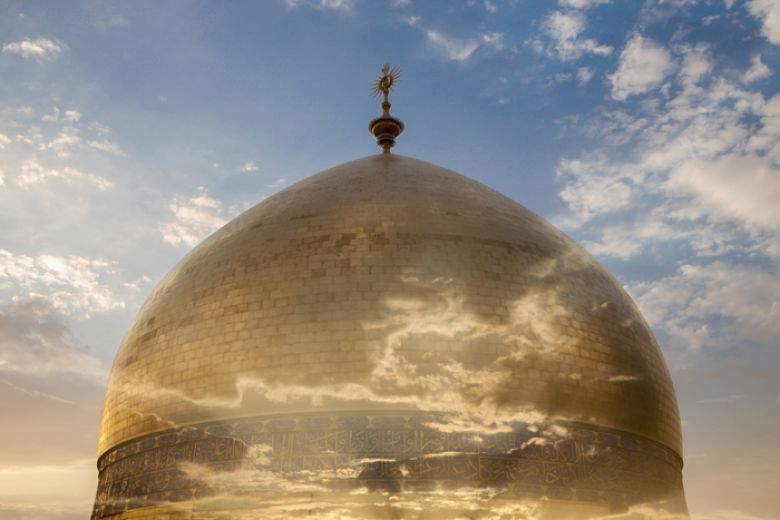 من مقاصدية وصية الإمام علي (عليه السلام) في أمواله/ سادسًا: المقاصدية في جعل التولية لأبني فاطمة (عليهم السلام) تشريفًا لصلة رسول الله (صلى الله عليه وآله)