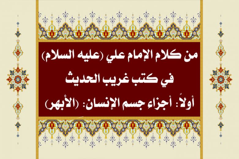 من كلام الإمام علي (عليه السلام) في كتب غريب الحديث / أولاً: أجزاء جسم الإنسان: (الأبهر)