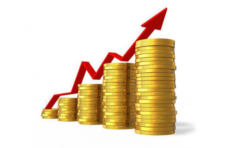 من ألفاظ التجارة في نهج البلاغة: 1- رؤيته عليه السلام الإصلاحية لاقتصاد الدولة