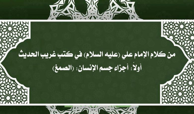 من كلام الإمام علي (عليه السلام) في كتب غريب الحديث / أولاً: أجزاء جسم الإنسان: (الصمغ)