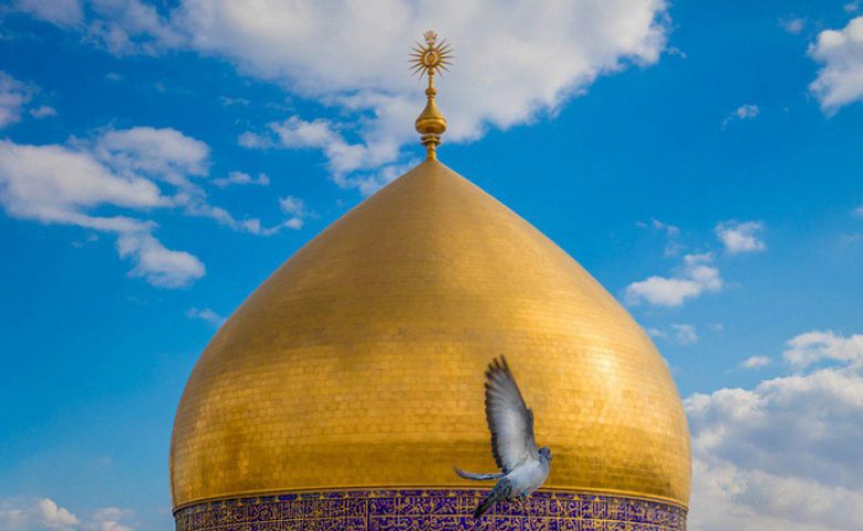 من مقاصدية وصية الإمام علي (عليه السلام) في أمواله...