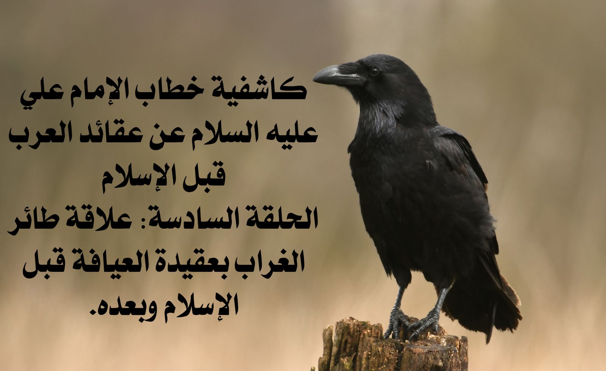 كاشفية خطاب الإمام علي عليه السلام عن عقائد العرب قبل الإسلام  الحلقة السادسة: علاقة طائر الغراب بعقيدة العيافة قبل الإسلام وبعده.