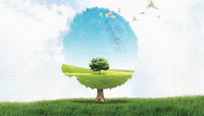 سلامة الفطرة